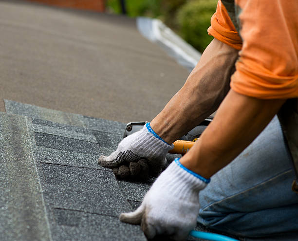 Best Local Roofing Companies  in Kaukauna, WI